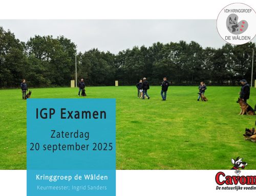 Foto’s IGP Examen 20-09-2025