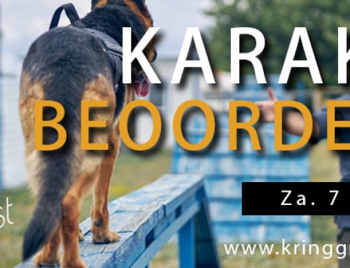 Za. 7 maart 2026 | Karakterbeoordeling (wesentest)