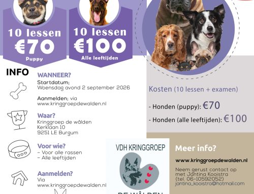 De volgende Gedrags- & Gehoorzaamheidscursus start op woe. 2 september 2026!
