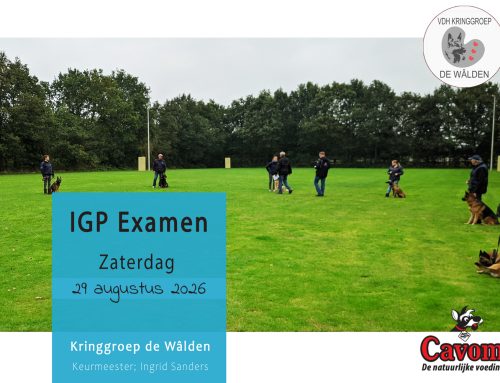 Za. 29 augustus 2026; IGP examen (keurmeester; Roy Immers)